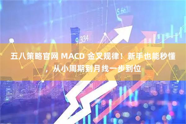 五八策略官网 MACD 金叉规律！新手也能秒懂，从小周期到月线一步到位