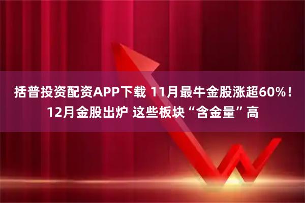 括普投资配资APP下载 11月最牛金股涨超60%！12月金股出炉 这些板块“含金量”高